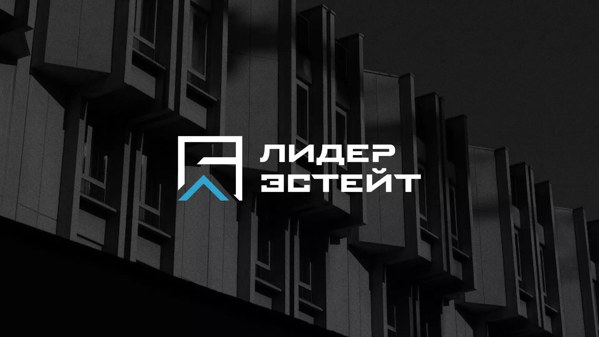 Разработка логотипа агентства недвижимости «Лидер Эстейт» в Ноябрьске
